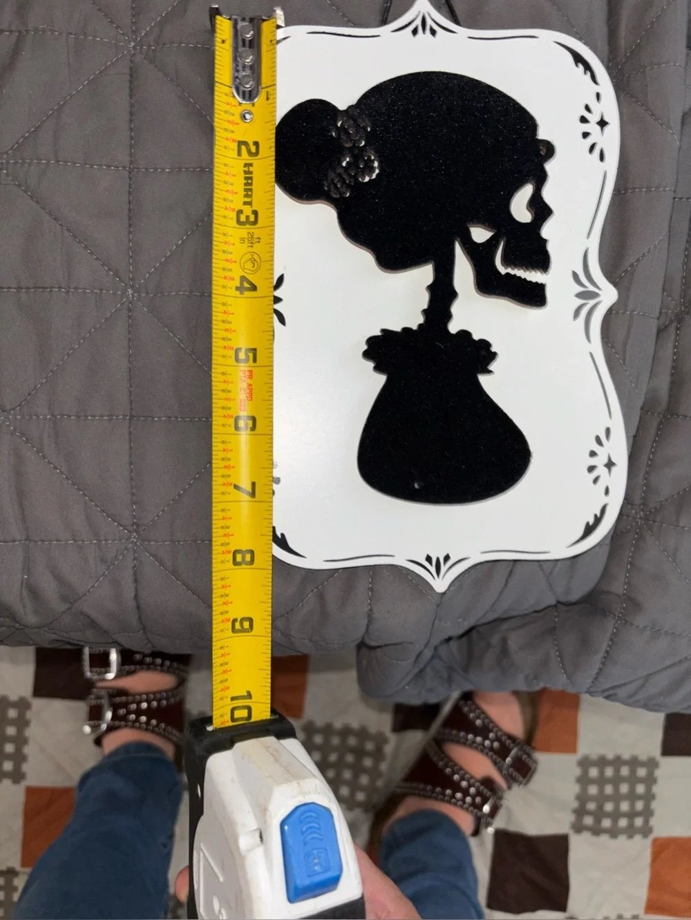 Victorian style skull velvet pictures (NWT)